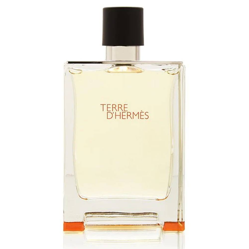 Terre D'Hermes by Hermes Eau de Toilette 100 ml | UAE
