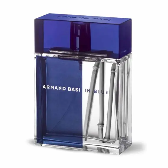 in Blue by Armand Basi Eau de Toilette 100 ml | UAE