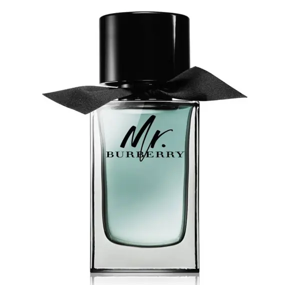 مستر. بربري من Burberry Eau de Toilette 100 ml | الإمارات