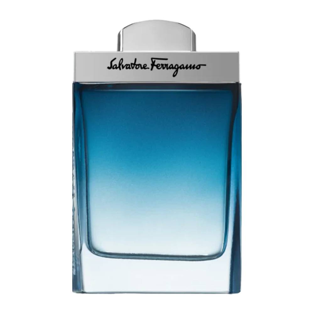 سوبتيل بور أوم من Salvatore Ferragamo Eau de Toilette 100 ml