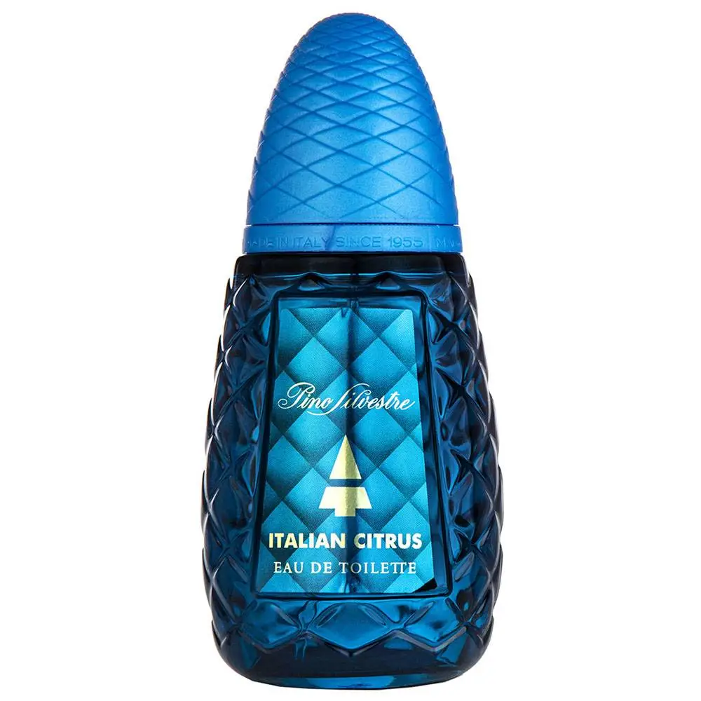 Italian Citrus by Pino Silvestre Eau de Toilette 125 ml…