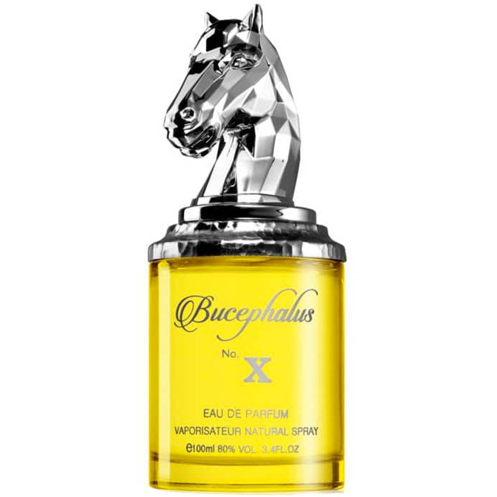 Niche Bucephalus No.X by Armaf Eau de Parfum 100 ml | UAE