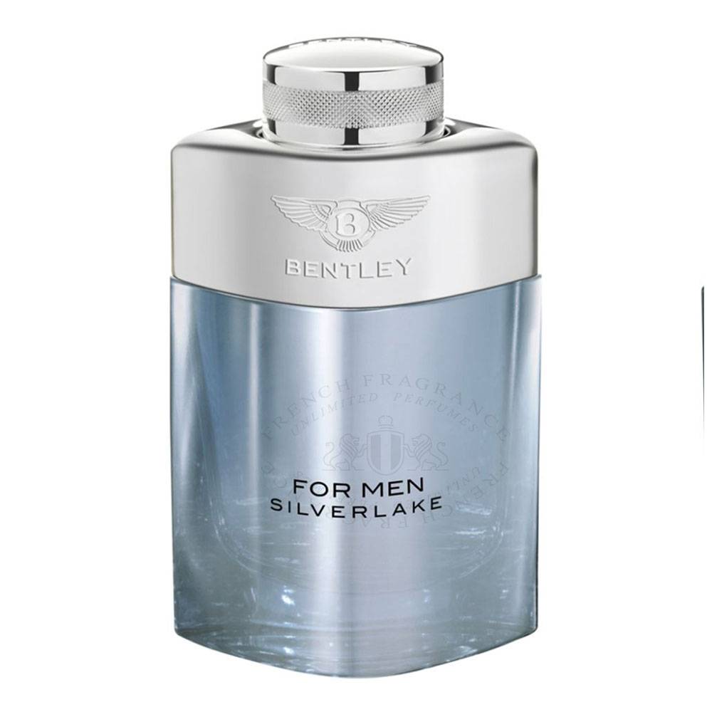 Bentley Silverlake 100 ml | Brands Perfume