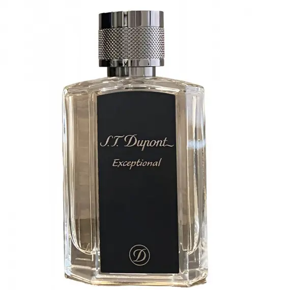 Exceptional by S.T. Dupont Eau de Parfum 100 ml | UAE