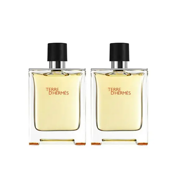 Terre D'Hermes by Hermes Eau de Toilette 50 ml | UAE