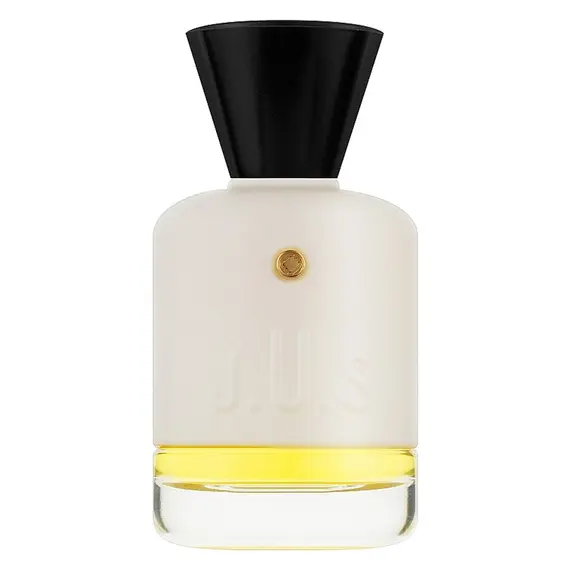 Superfusion by Joyau Unique & Sensoriel Parfum 100 ml | UAE