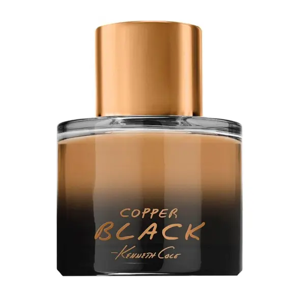 Copper Black by Kenneth Cole Eau de Toilette 100 ml | UAE