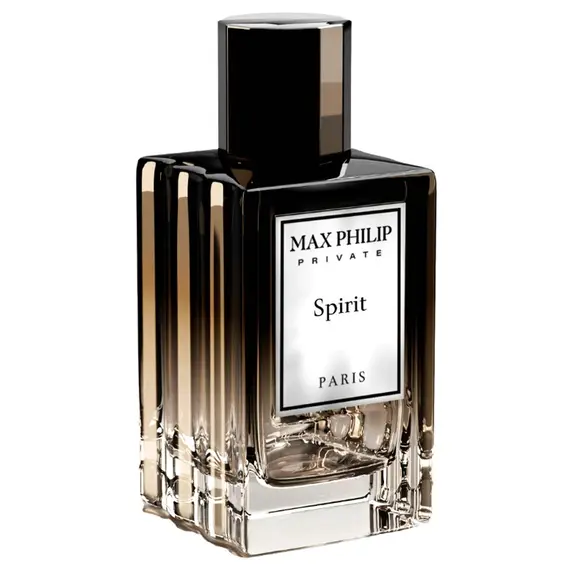 Spirit by Max Philip Eau de Parfum 100 ml | UAE