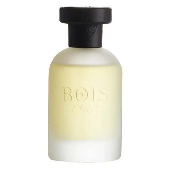 Classic Paradise by Bois 1920 Eau de Parfum 100 ml | UAE