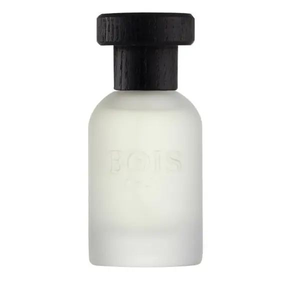 Classic 1920 by Bois 1920 Eau de Parfum 50 ml | UAE