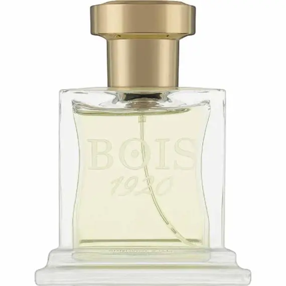 Elite I by Bois 1920 Parfum 100 ml | UAE