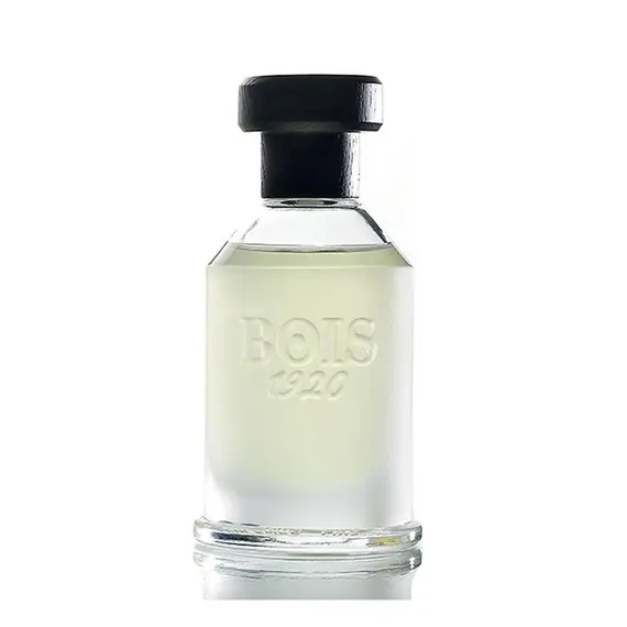 Virtu Youth by Bois 1920 Eau de Toilette 100 ml | UAE