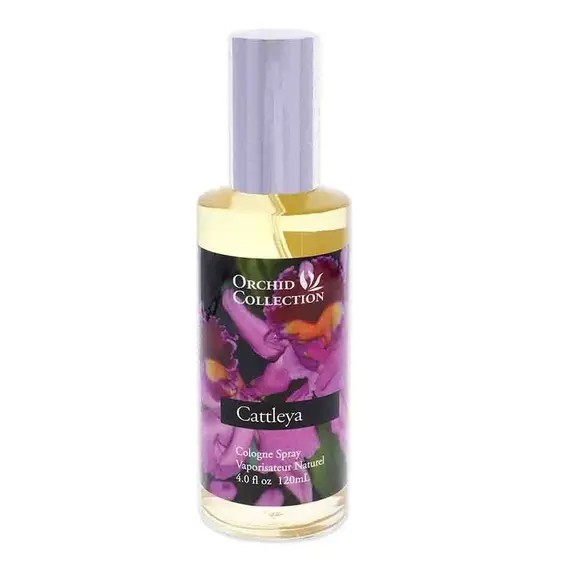 Cattleya Orchid Collection Cologne