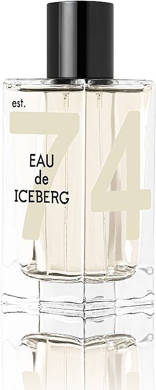 Eau De Iceberg by Iceberg Eau de Toilette 100 ml | UAE