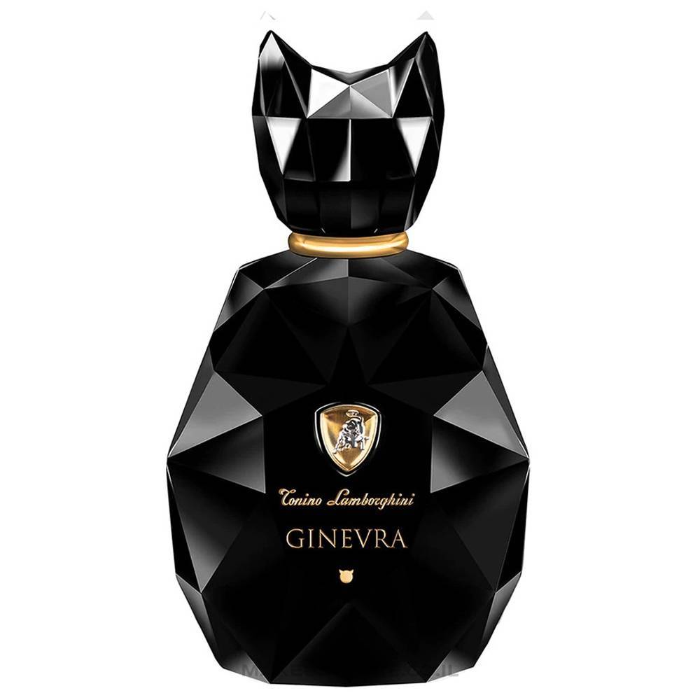 Ginevra Black by Tonino Lamborghini Eau de Parfum 100 ml…