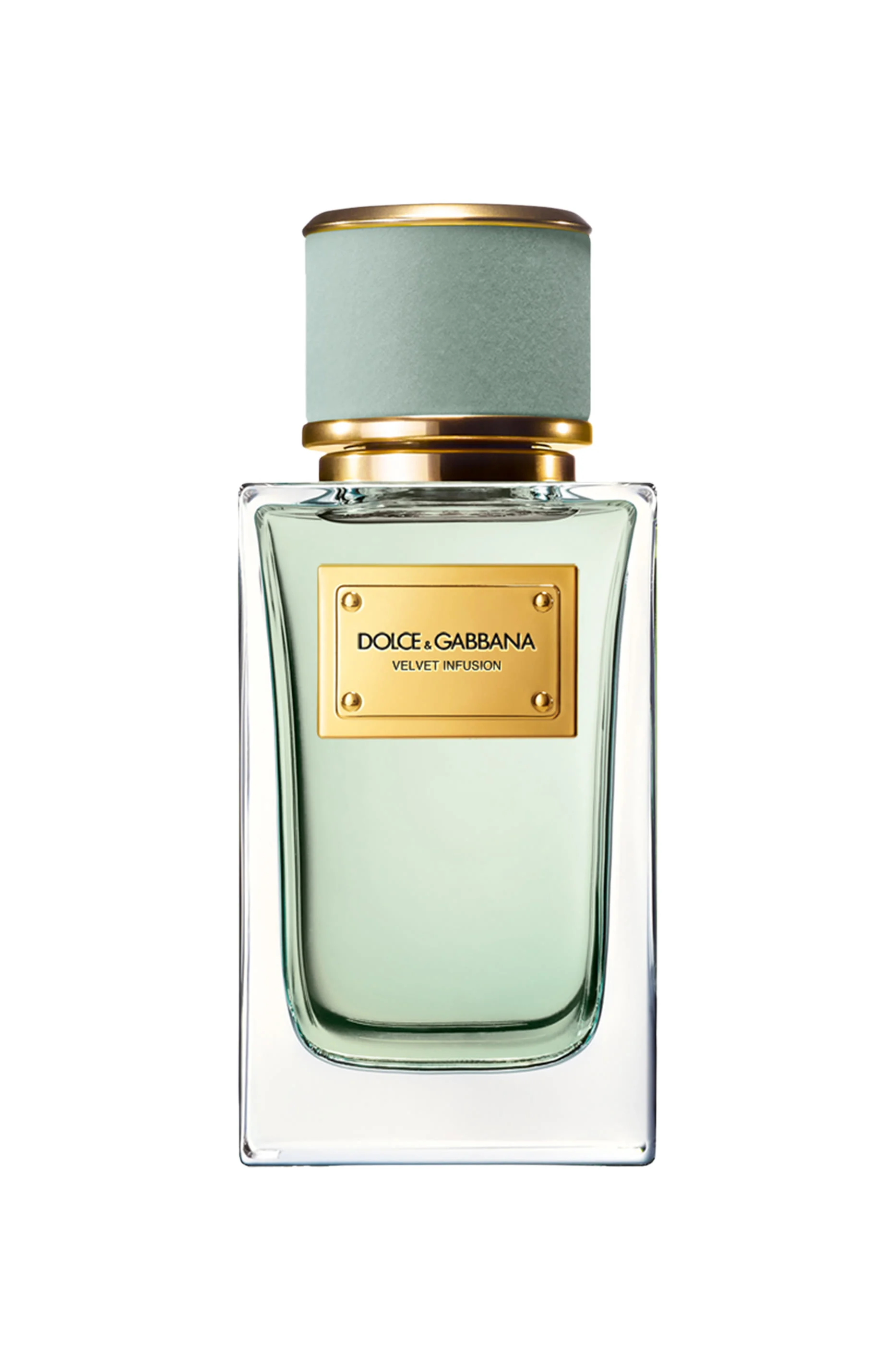 Velvet Infusion by Dolce & Gabbana Eau de Parfum 100 ml…