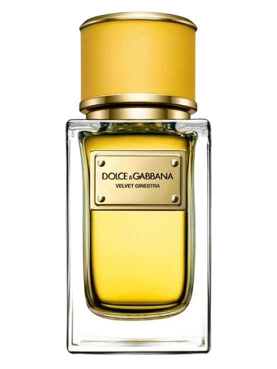 فيلفيت جينيسترا من Dolce & Gabbana Eau de Parfum 50 ml…