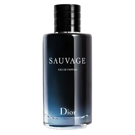 Sauvage by Christian Dior Eau de Parfum 100 ml | UAE