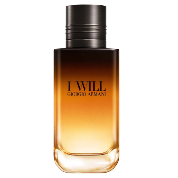 I Will by Giorgio Armani Eau de Parfum 100 ml | UAE